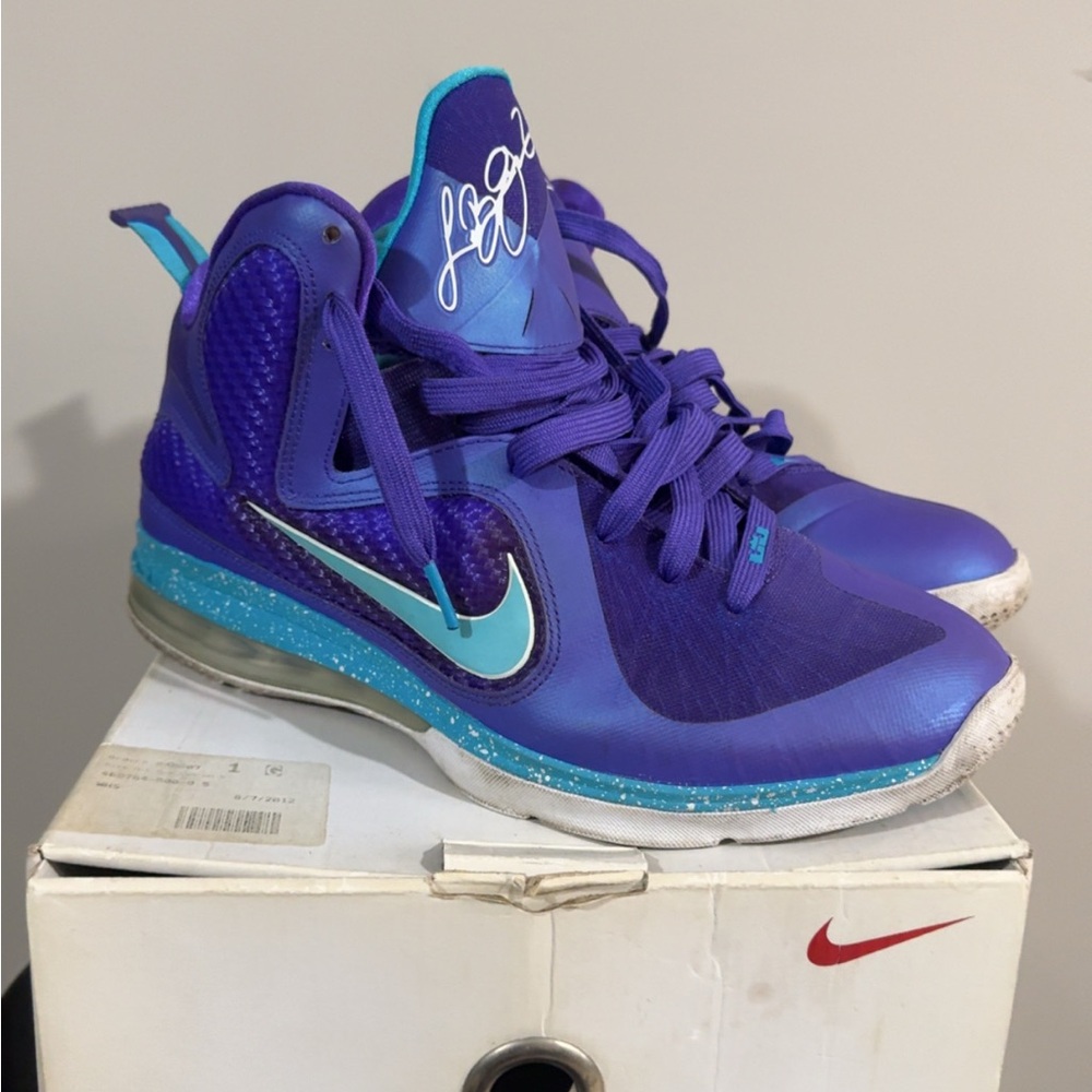 Nike LeBron 9 Summit Lake Hornets